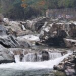 Exploring the Granite Falls Fish Ladder: A Gateway for Salmon